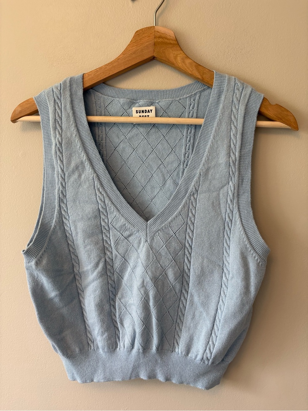 Aritzia Sunday Best Sweater Vest